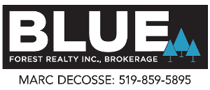 Blue Forest Realty